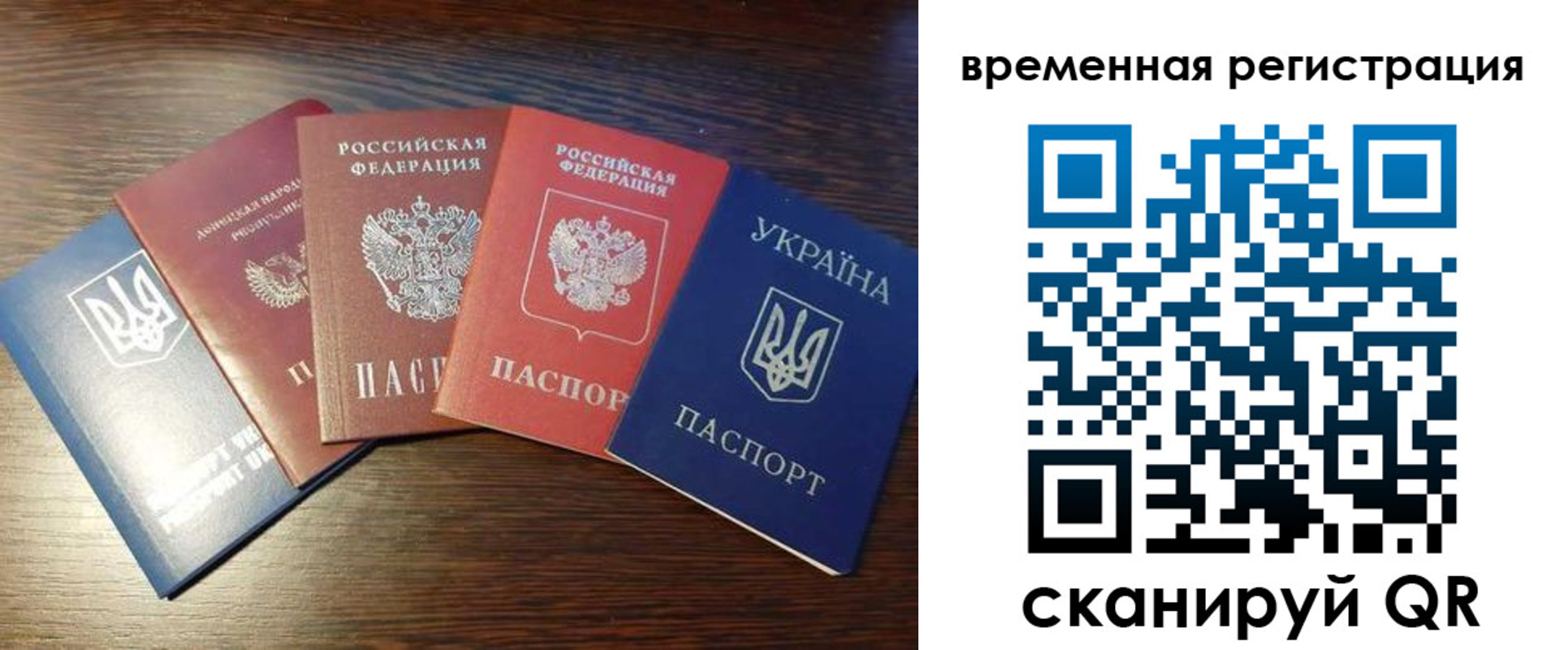 прописка гарантия в Димитровграде