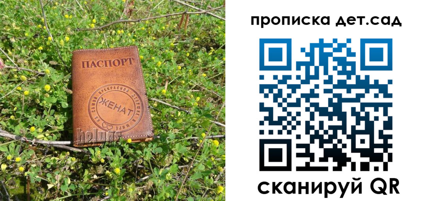 прописка для работы в Димитровграде